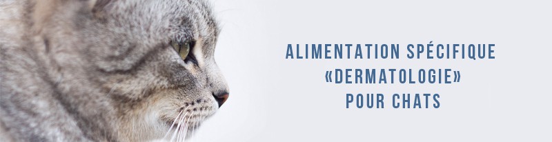 alimentation spécifique dermatologie pour chats